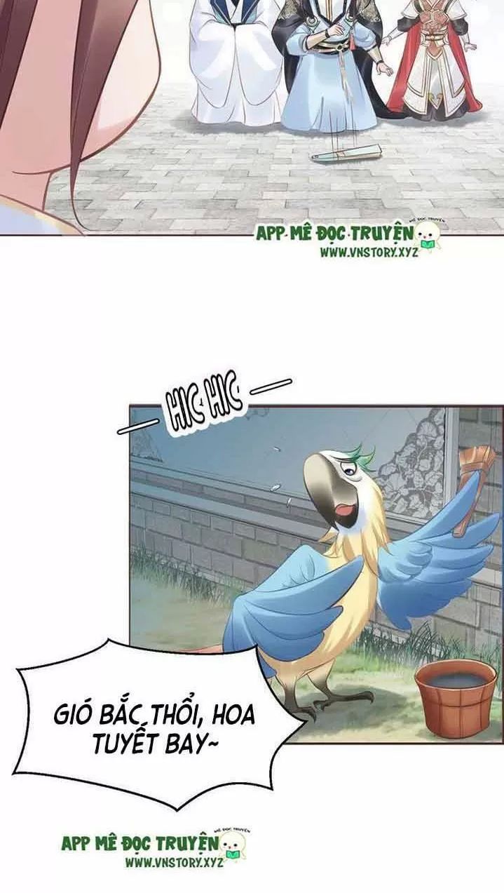 Nhất Sinh Nhất Thế Tiếu Thương Khung Chapter 20 - Trang 2