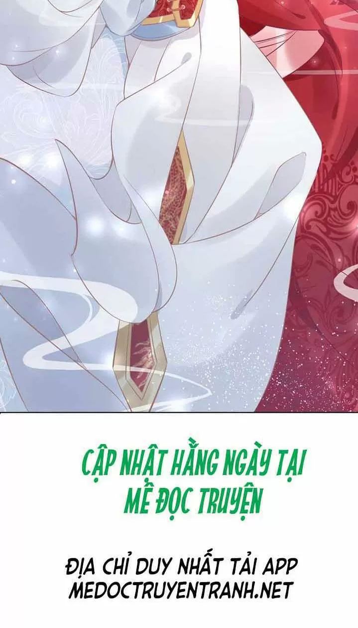 Nhất Sinh Nhất Thế Tiếu Thương Khung Chapter 21 - Trang 2