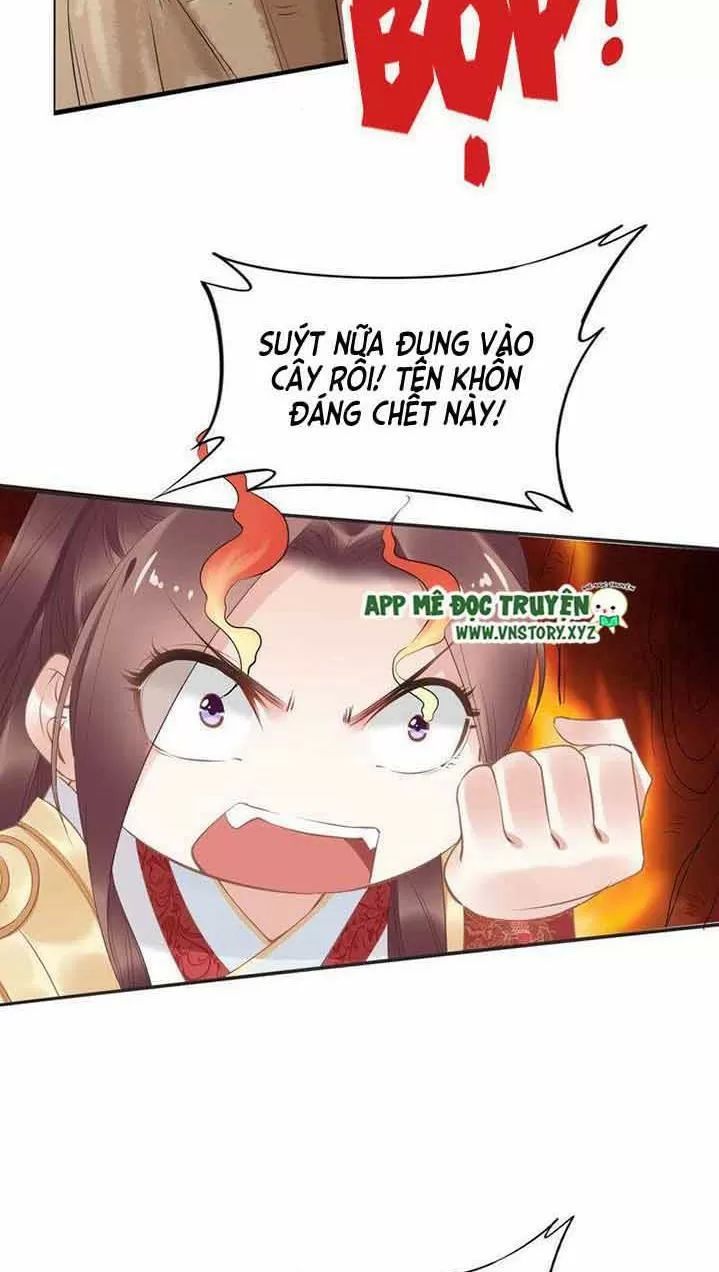 Nhất Sinh Nhất Thế Tiếu Thương Khung Chapter 40 - Trang 2