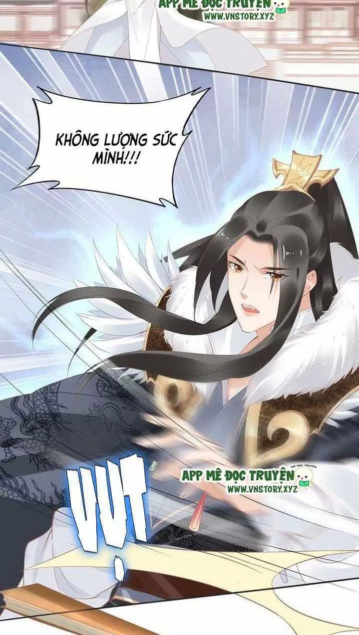 Nhất Sinh Nhất Thế Tiếu Thương Khung Chapter 40 - Trang 2