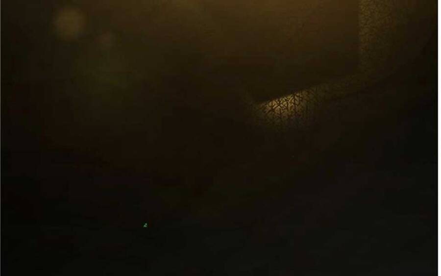 Nhiệm Vụ Diệu Kỳ Chapter 41.5 - Trang 2