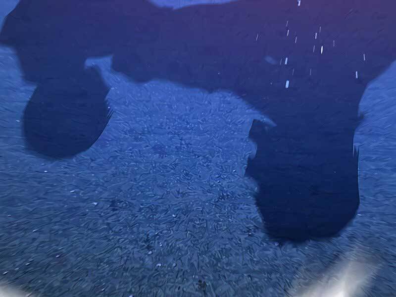 Nhiệm Vụ Đời Thật Chapter 42.5 - Trang 2