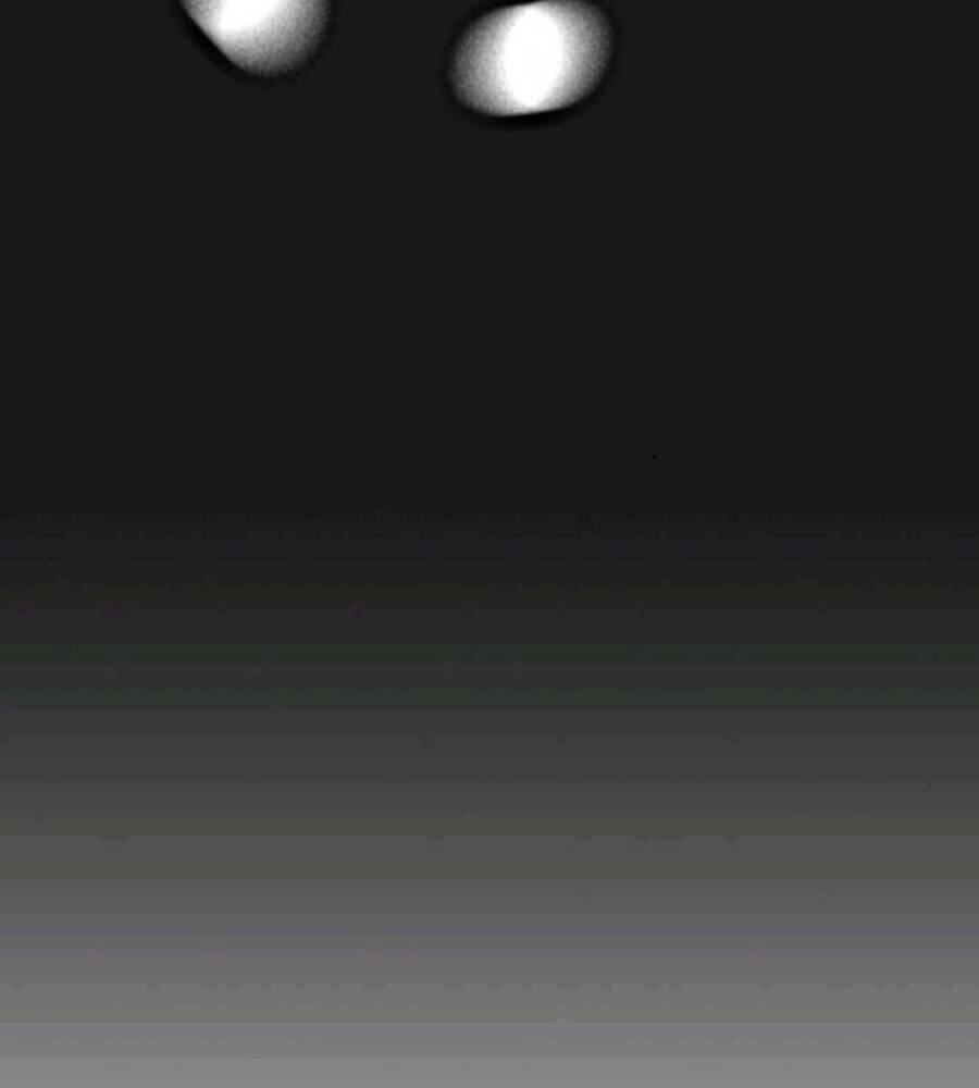 Nhiệm Vụ Đời Thật Chapter 70 - Trang 2