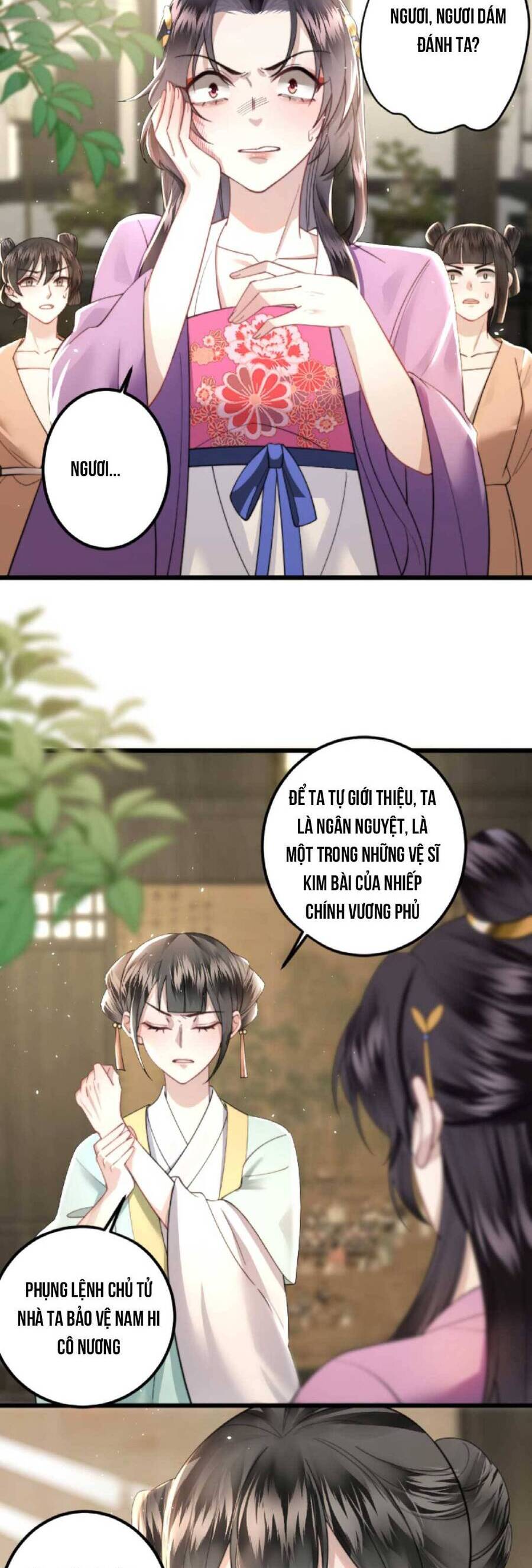 Nhiếp Chính Vương Bệnh Kiều Được Sủng Ái Chapter 12 - Trang 2