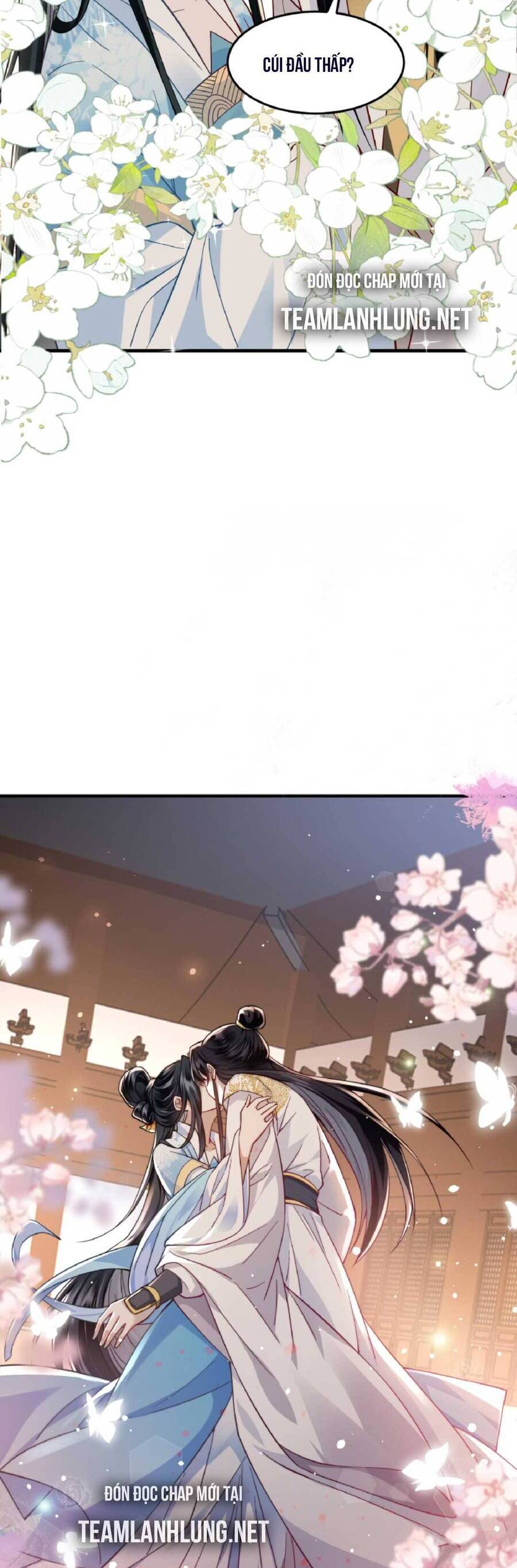 Nhiếp Chính Vương Bệnh Kiều Được Sủng Ái Chapter 19 - Trang 2