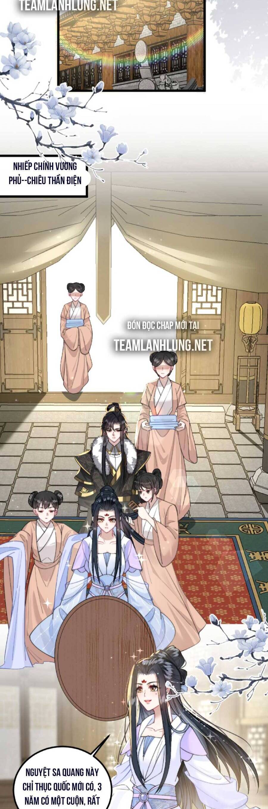 Nhiếp Chính Vương Bệnh Kiều Được Sủng Ái Chapter 21 - Trang 2