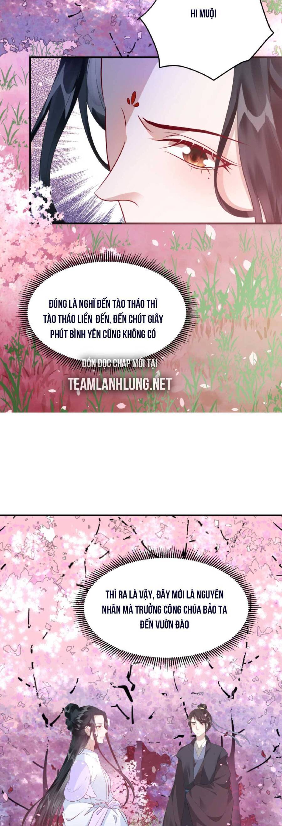 Nhiếp Chính Vương Bệnh Kiều Được Sủng Ái Chapter 27 - Trang 2