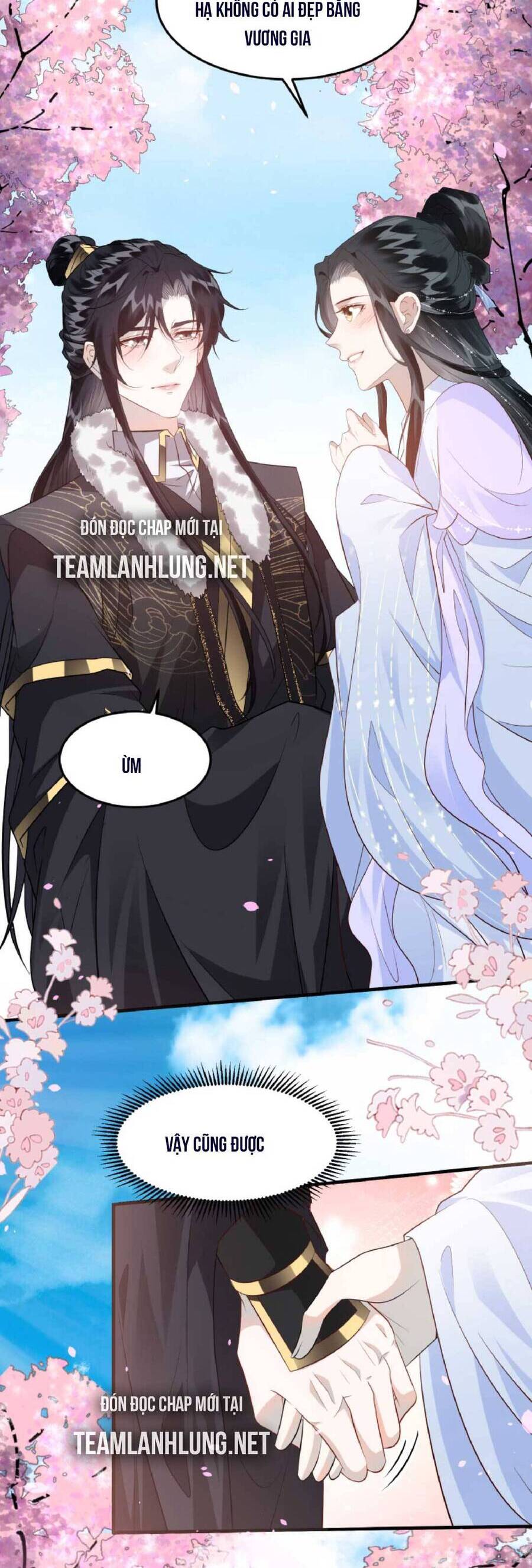 Nhiếp Chính Vương Bệnh Kiều Được Sủng Ái Chapter 29 - Trang 2