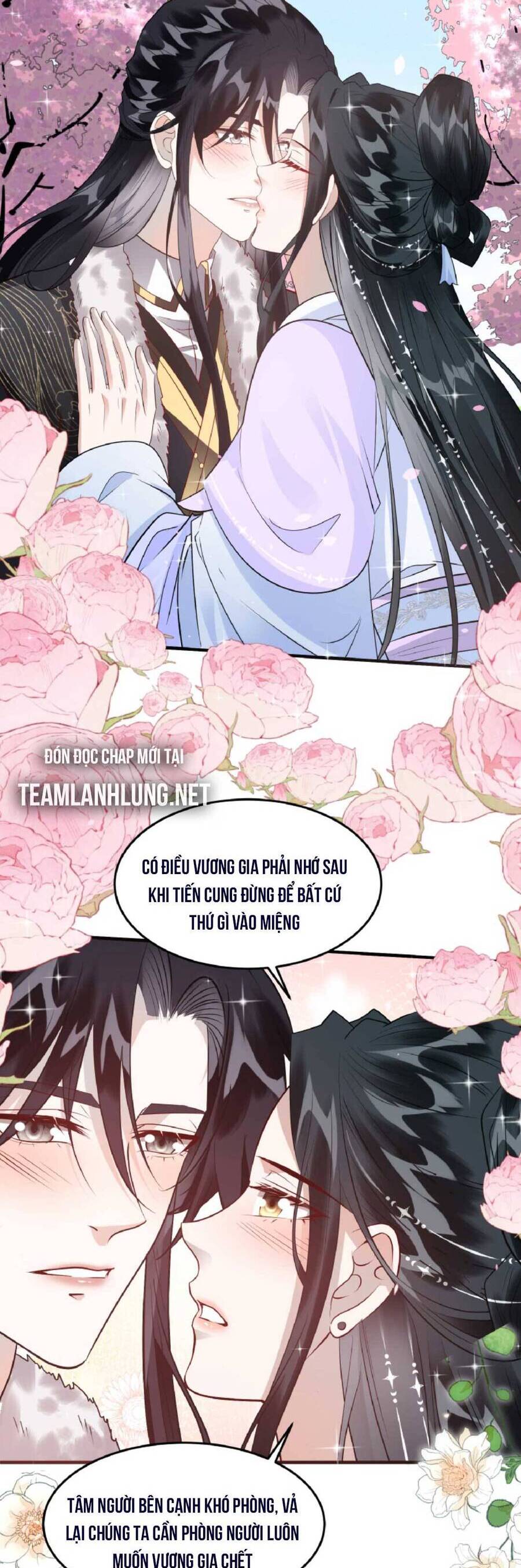 Nhiếp Chính Vương Bệnh Kiều Được Sủng Ái Chapter 29 - Trang 2