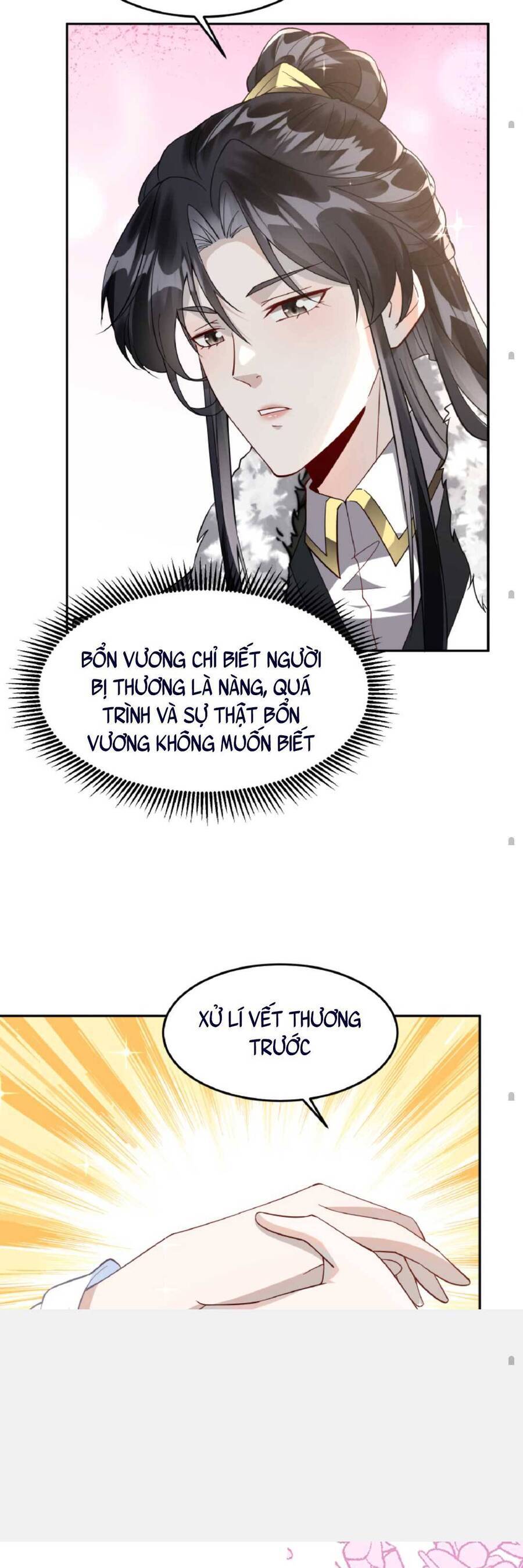 Nhiếp Chính Vương Bệnh Kiều Được Sủng Ái Chapter 3 - Trang 2