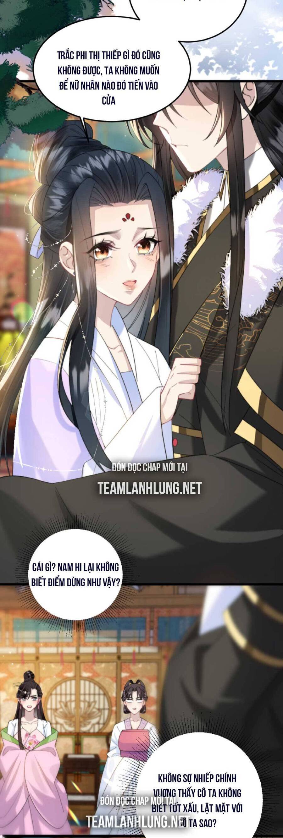 Nhiếp Chính Vương Bệnh Kiều Được Sủng Ái Chapter 33 - Trang 2