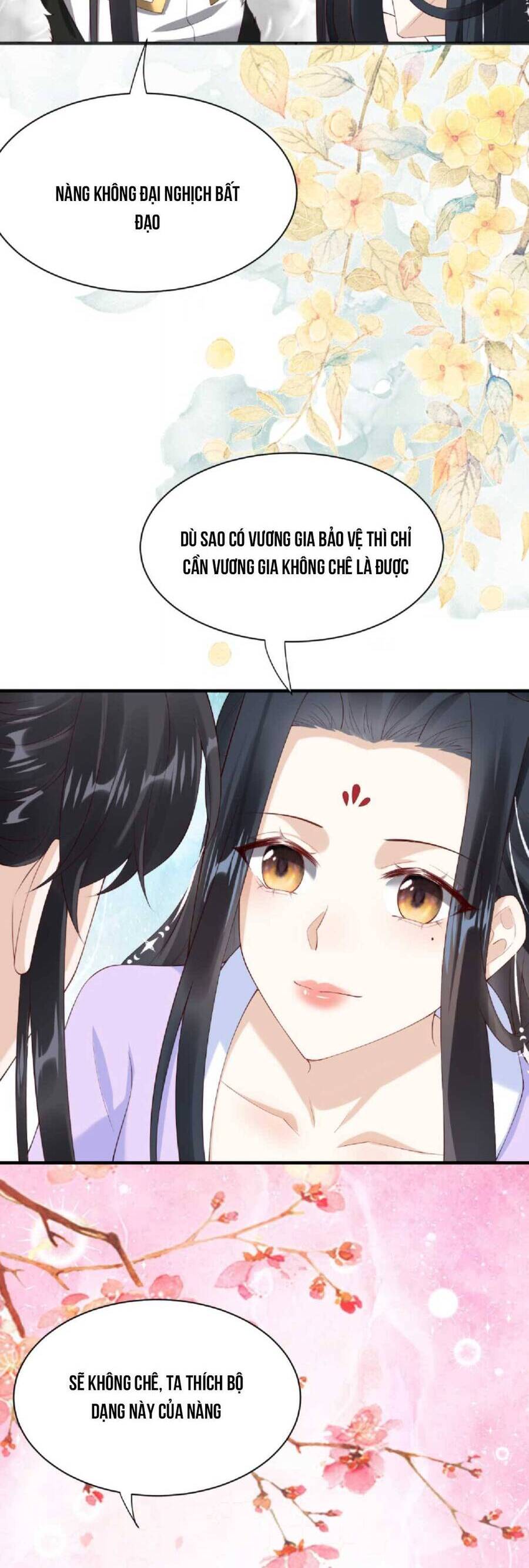 Nhiếp Chính Vương Bệnh Kiều Được Sủng Ái Chapter 34 - Trang 2