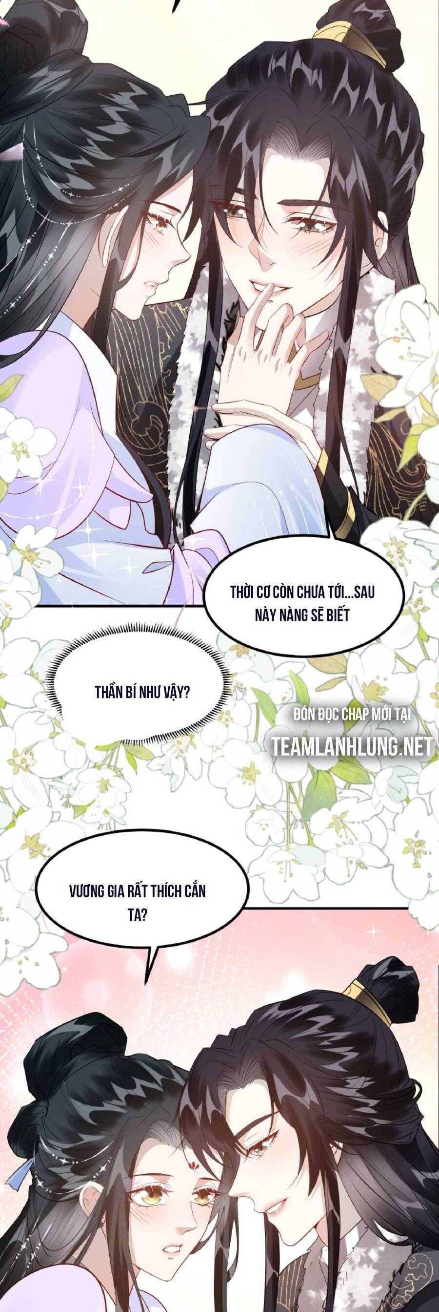 Nhiếp Chính Vương Bệnh Kiều Được Sủng Ái Chapter 39 - Trang 2