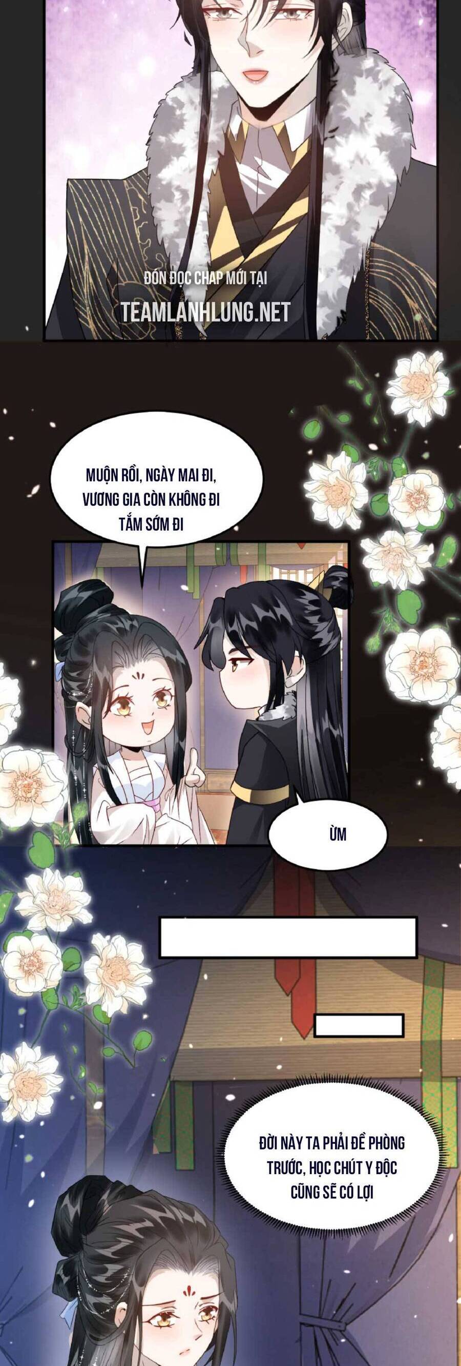 Nhiếp Chính Vương Bệnh Kiều Được Sủng Ái Chapter 40 - Trang 2