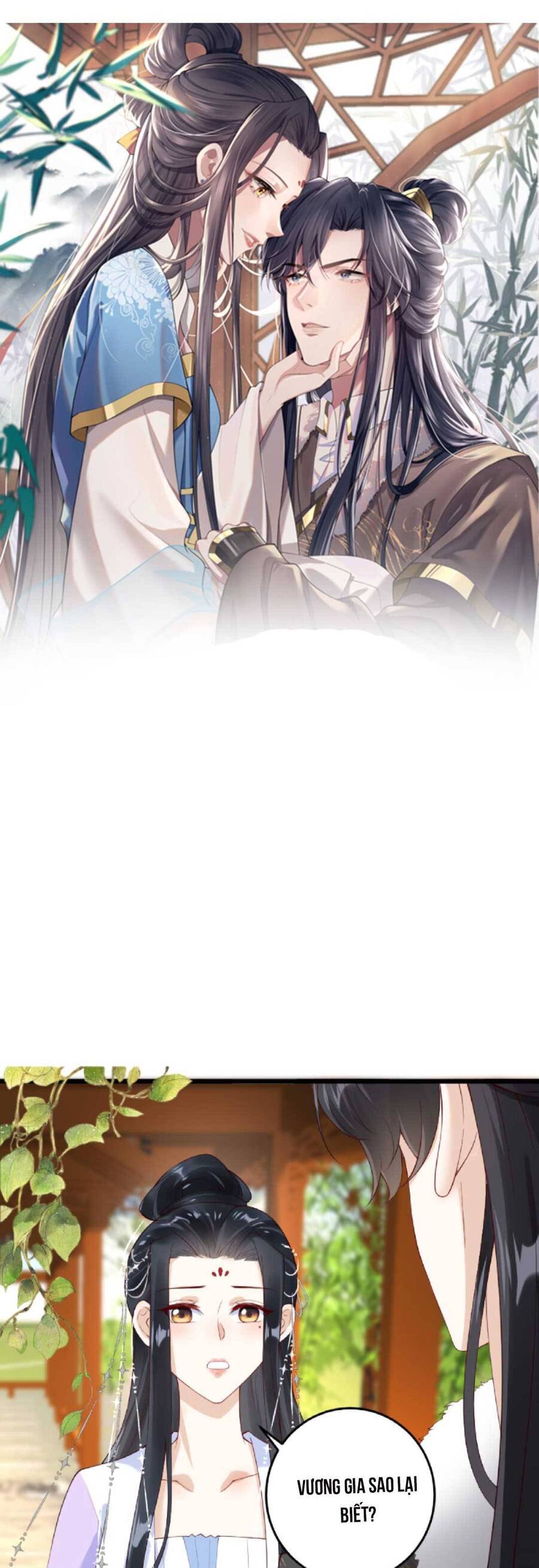 Nhiếp Chính Vương Bệnh Kiều Được Sủng Ái Chapter 41 - Trang 2