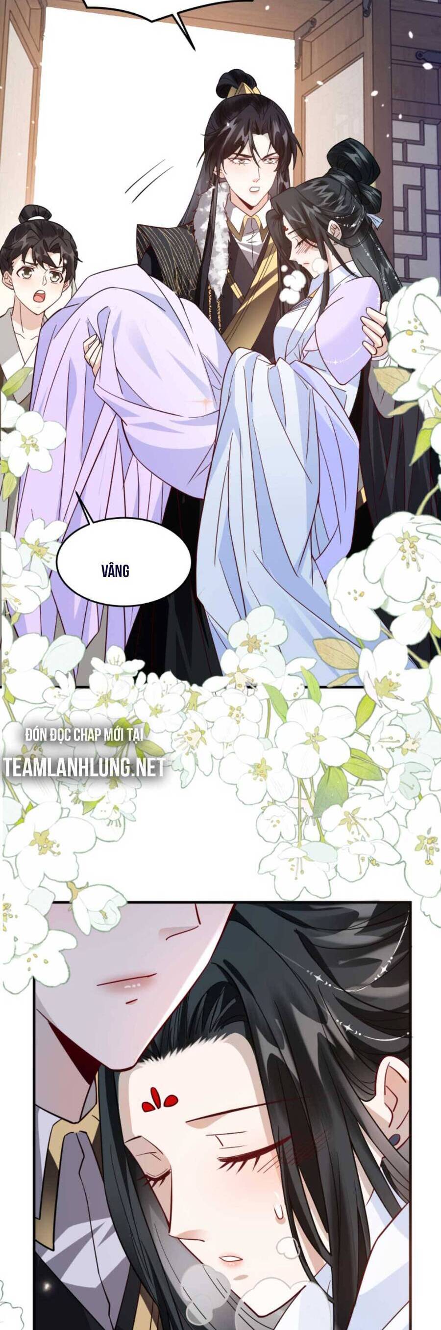 Nhiếp Chính Vương Bệnh Kiều Được Sủng Ái Chapter 48 - Trang 2