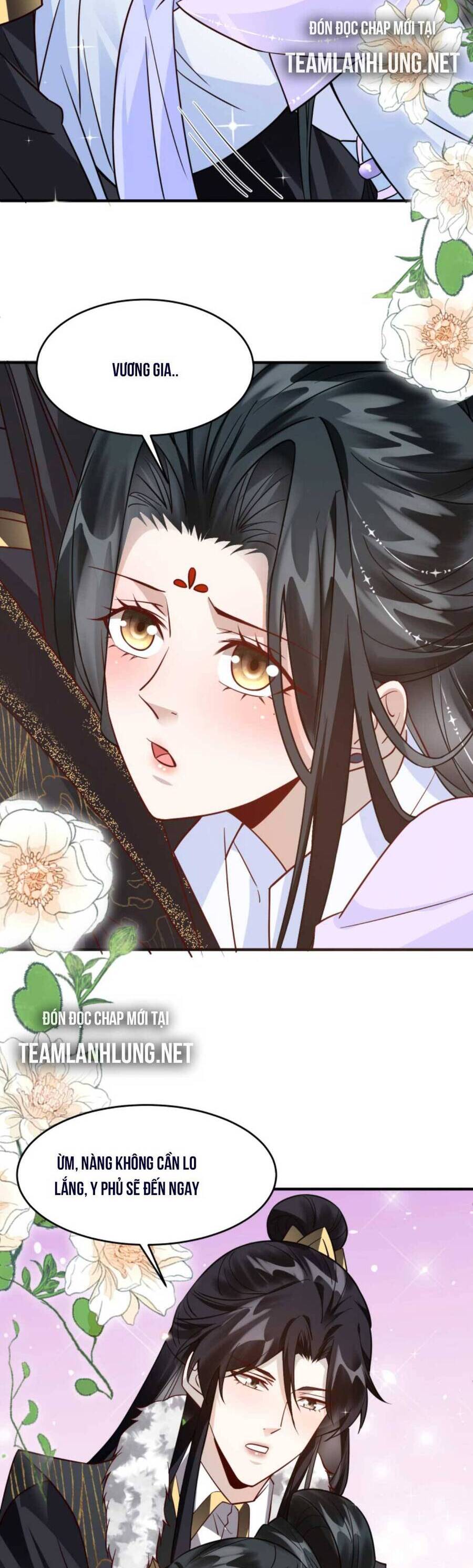 Nhiếp Chính Vương Bệnh Kiều Được Sủng Ái Chapter 48 - Trang 2