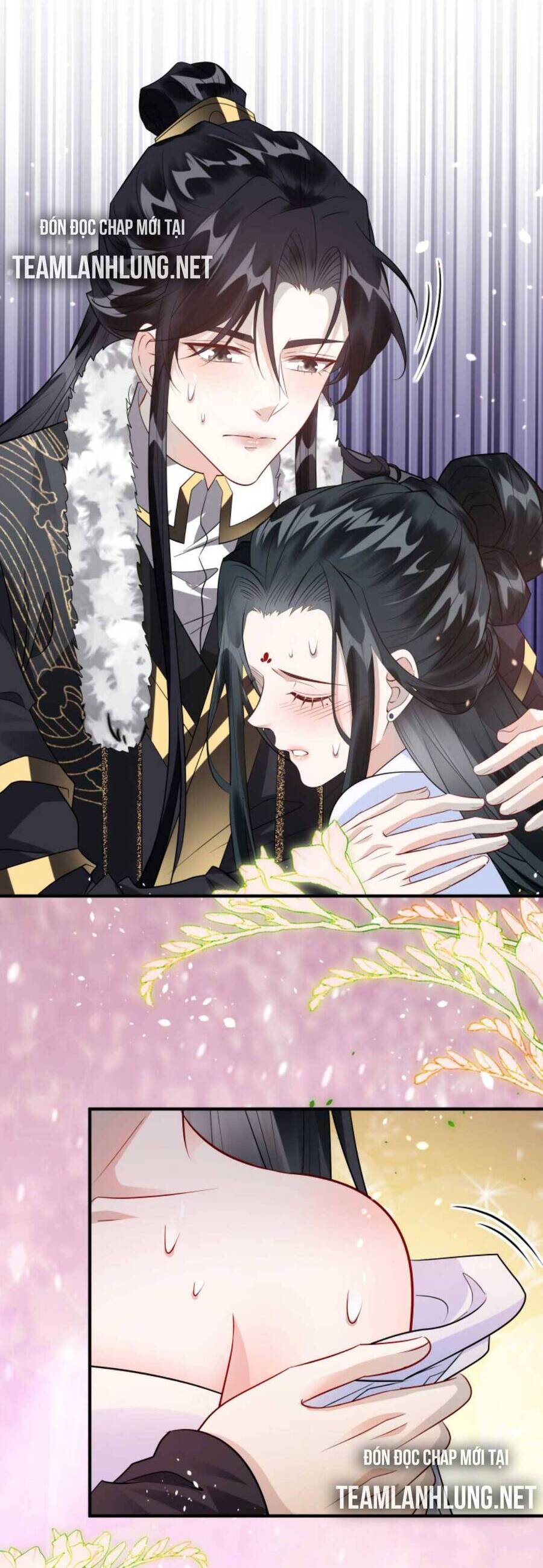 Nhiếp Chính Vương Bệnh Kiều Được Sủng Ái Chapter 49 - Trang 2