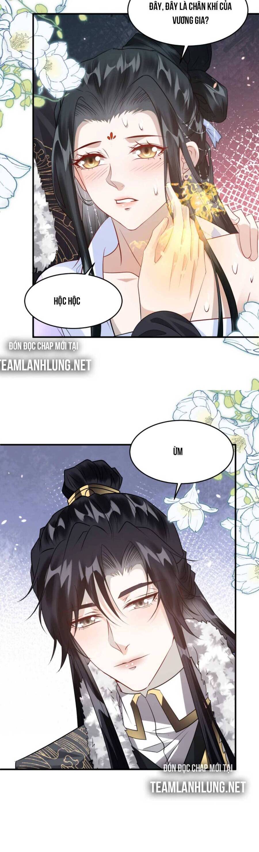 Nhiếp Chính Vương Bệnh Kiều Được Sủng Ái Chapter 49 - Trang 2