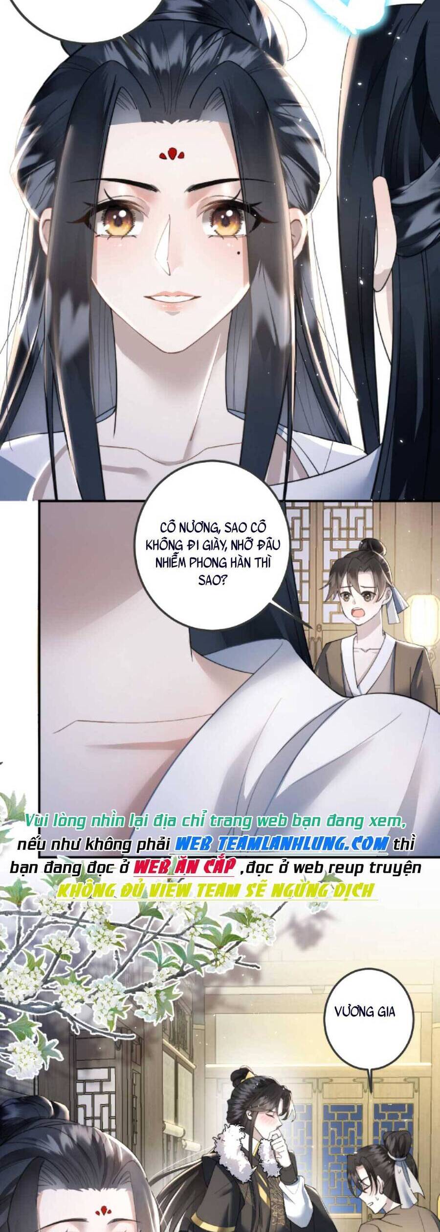 Nhiếp Chính Vương Bệnh Kiều Được Sủng Ái Chapter 5 - Trang 2