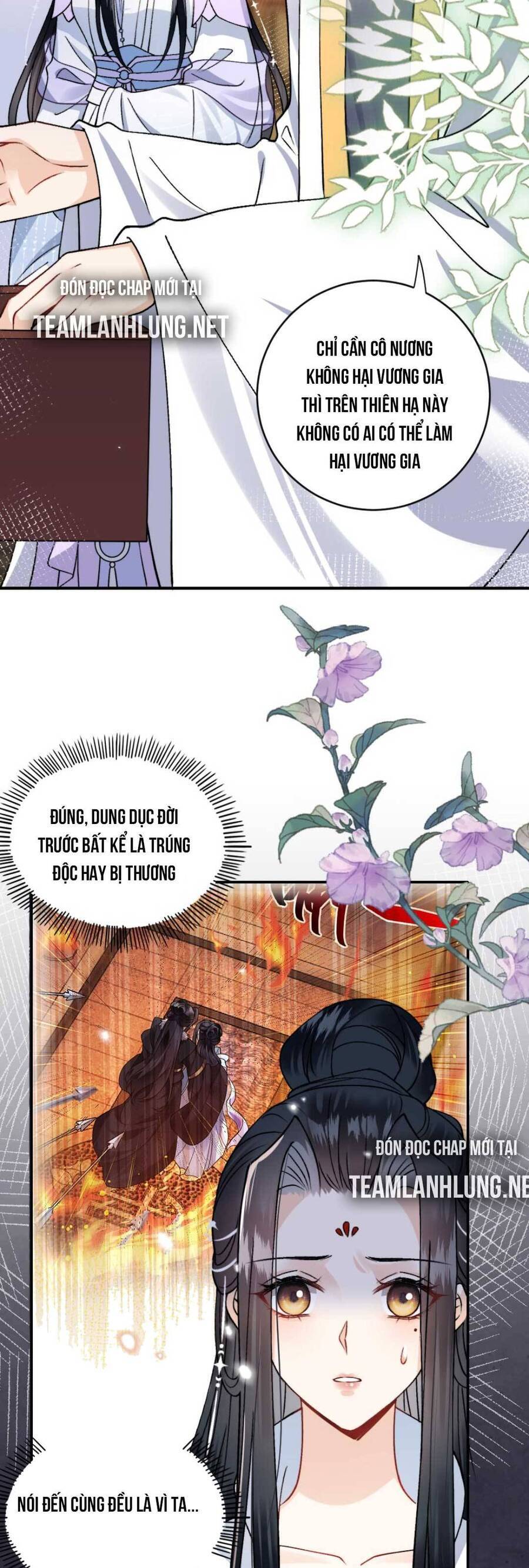 Nhiếp Chính Vương Bệnh Kiều Được Sủng Ái Chapter 51 - Trang 2