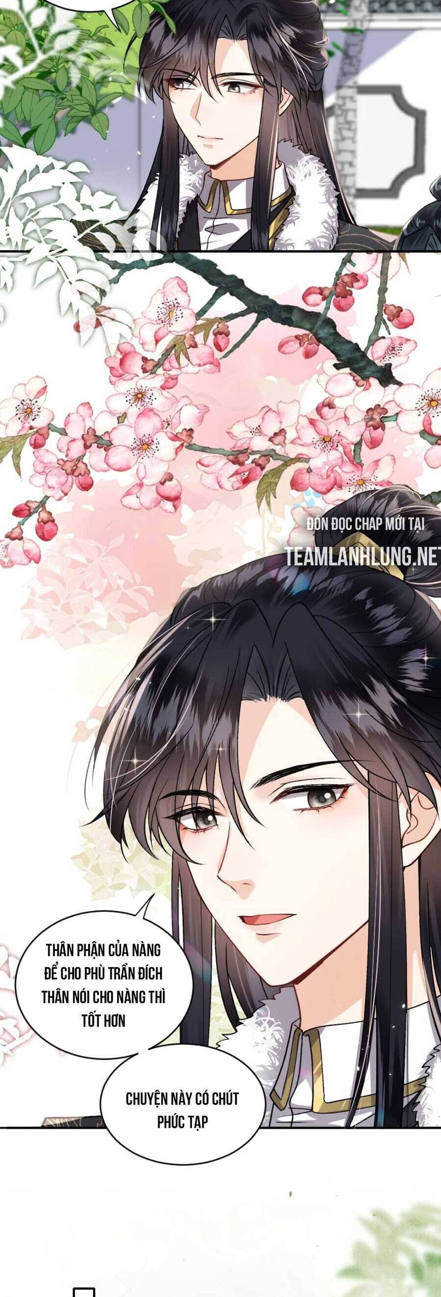 Nhiếp Chính Vương Bệnh Kiều Được Sủng Ái Chapter 51 - Trang 2