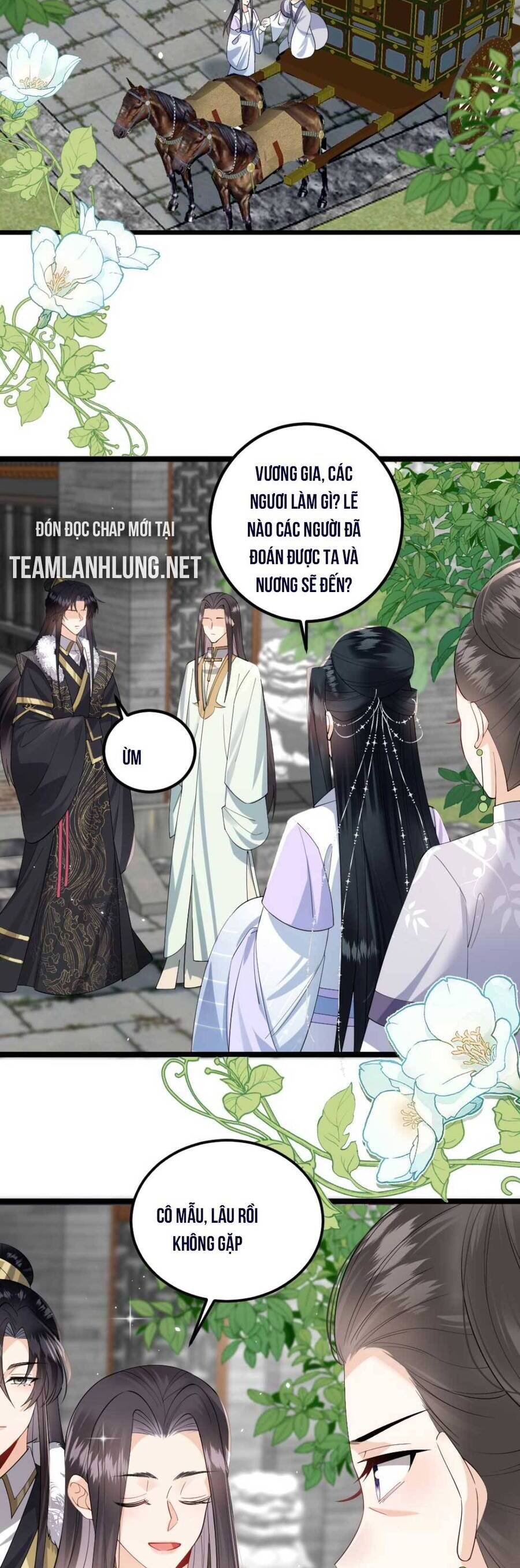 Nhiếp Chính Vương Bệnh Kiều Được Sủng Ái Chapter 53 - Trang 2