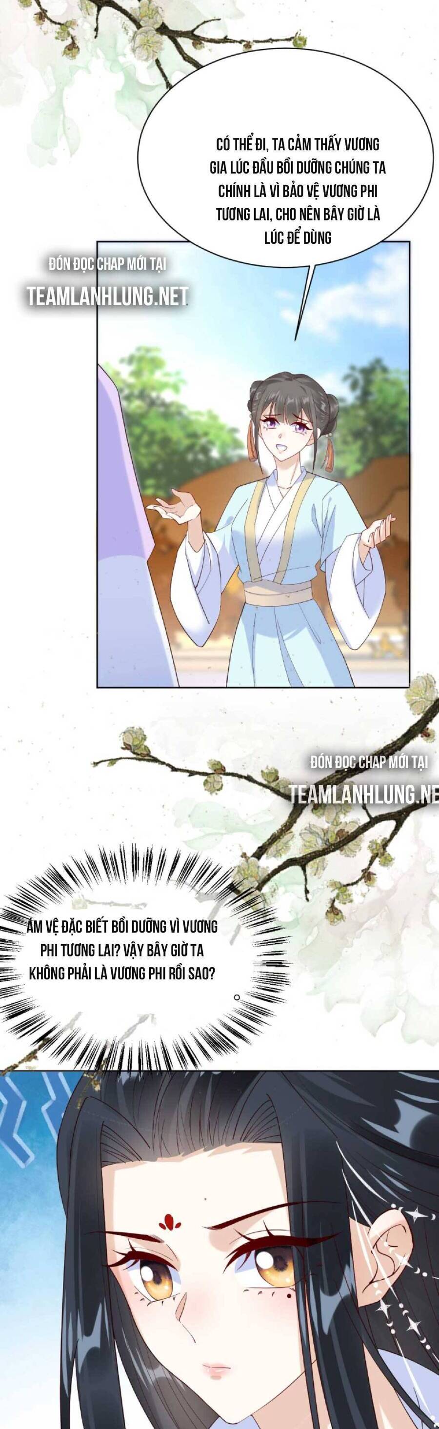 Nhiếp Chính Vương Bệnh Kiều Được Sủng Ái Chapter 54 - Trang 2