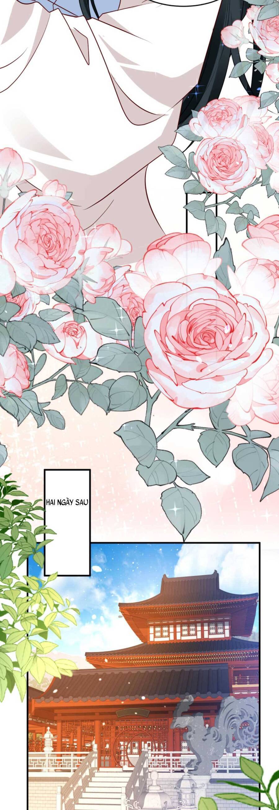 Nhiếp Chính Vương Bệnh Kiều Được Sủng Ái Chapter 66 - Trang 2