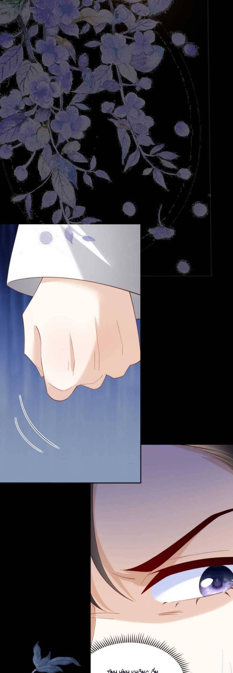 Nhiếp Chính Vương Bệnh Kiều Được Sủng Ái Chapter 72 - Trang 2