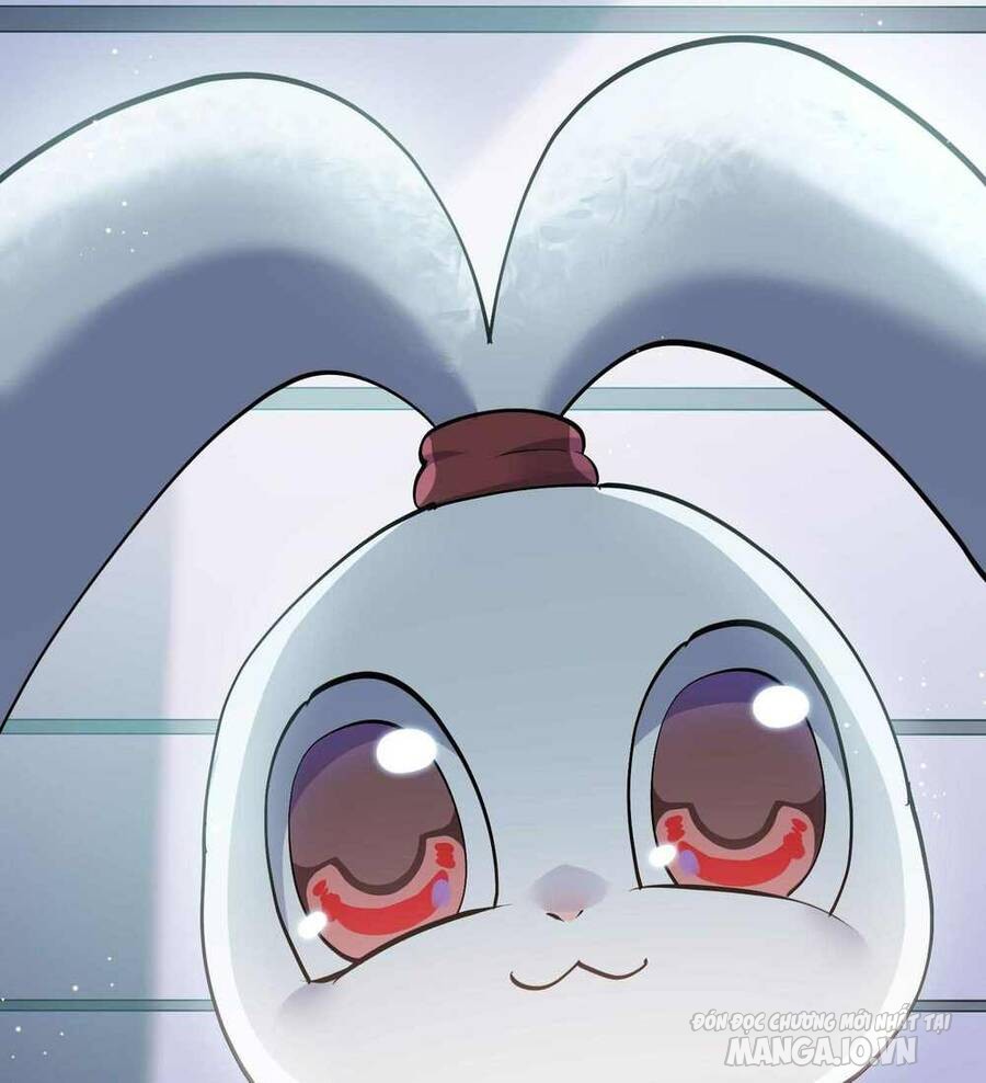 Nhìn Như Boss Nhưng Lại Đáng Tin Cậy Chapter 12 - Trang 2