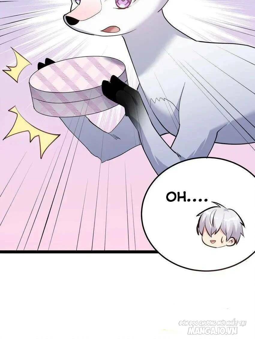 Nhìn Như Boss Nhưng Lại Đáng Tin Cậy Chapter 13 - Trang 2