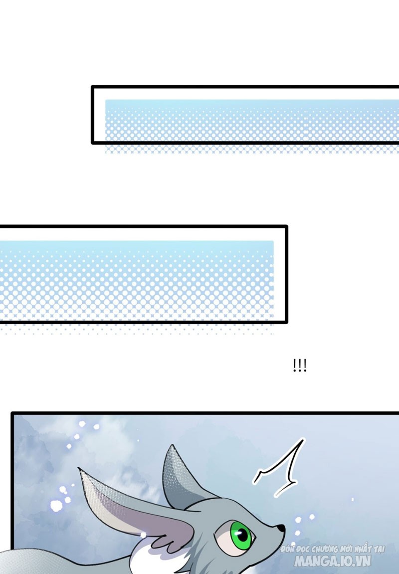 Nhìn Như Boss Nhưng Lại Đáng Tin Cậy Chapter 2 - Trang 2