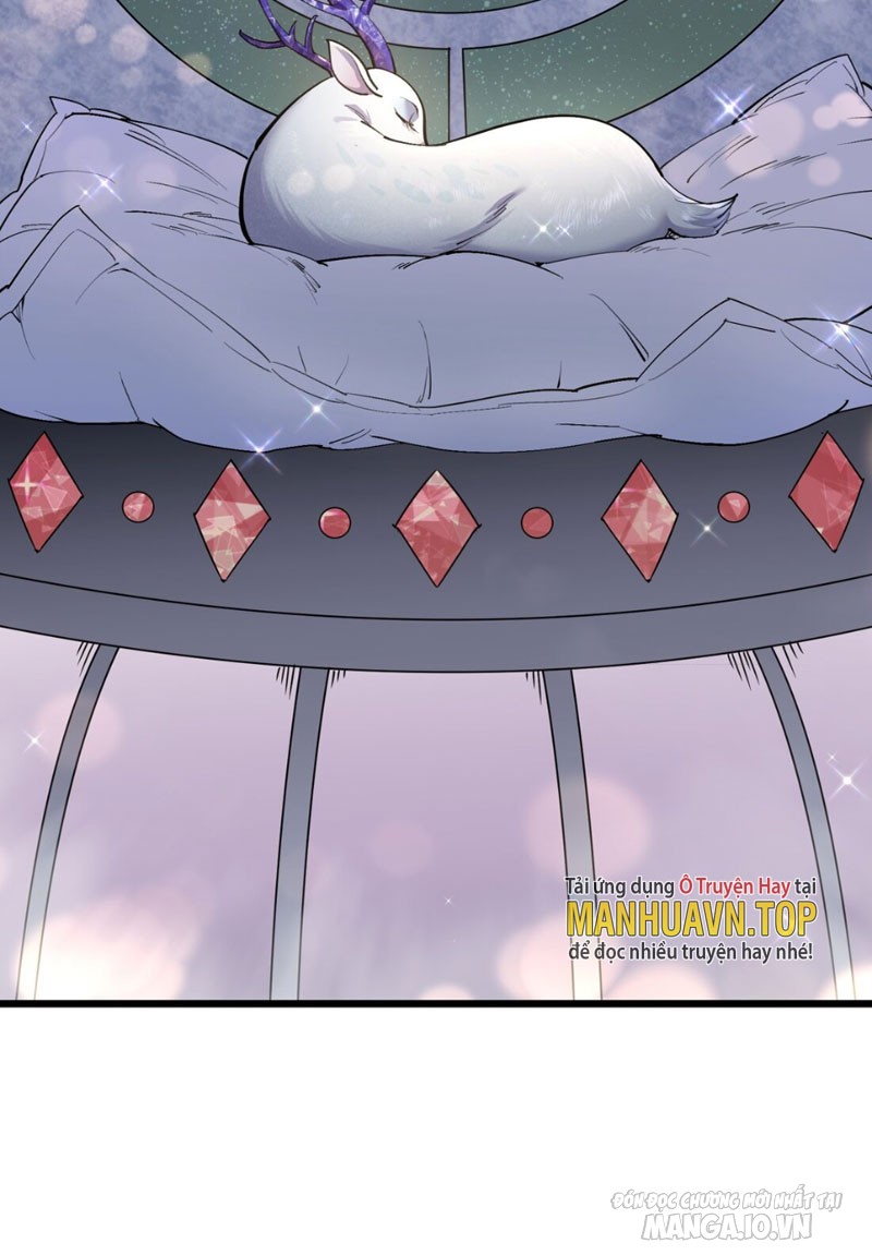 Nhìn Như Boss Nhưng Lại Đáng Tin Cậy Chapter 2 - Trang 2