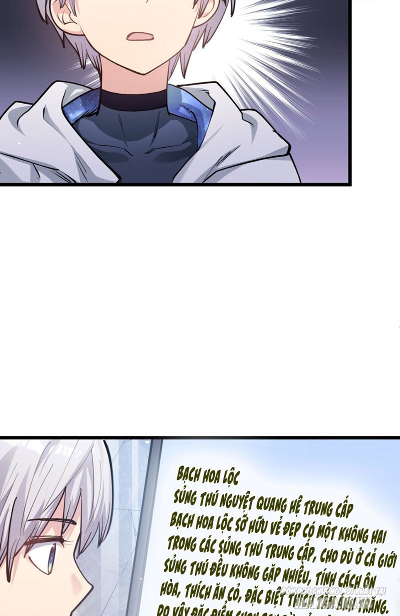 Nhìn Như Boss Nhưng Lại Đáng Tin Cậy Chapter 2 - Trang 2