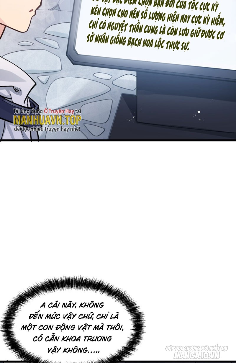 Nhìn Như Boss Nhưng Lại Đáng Tin Cậy Chapter 2 - Trang 2