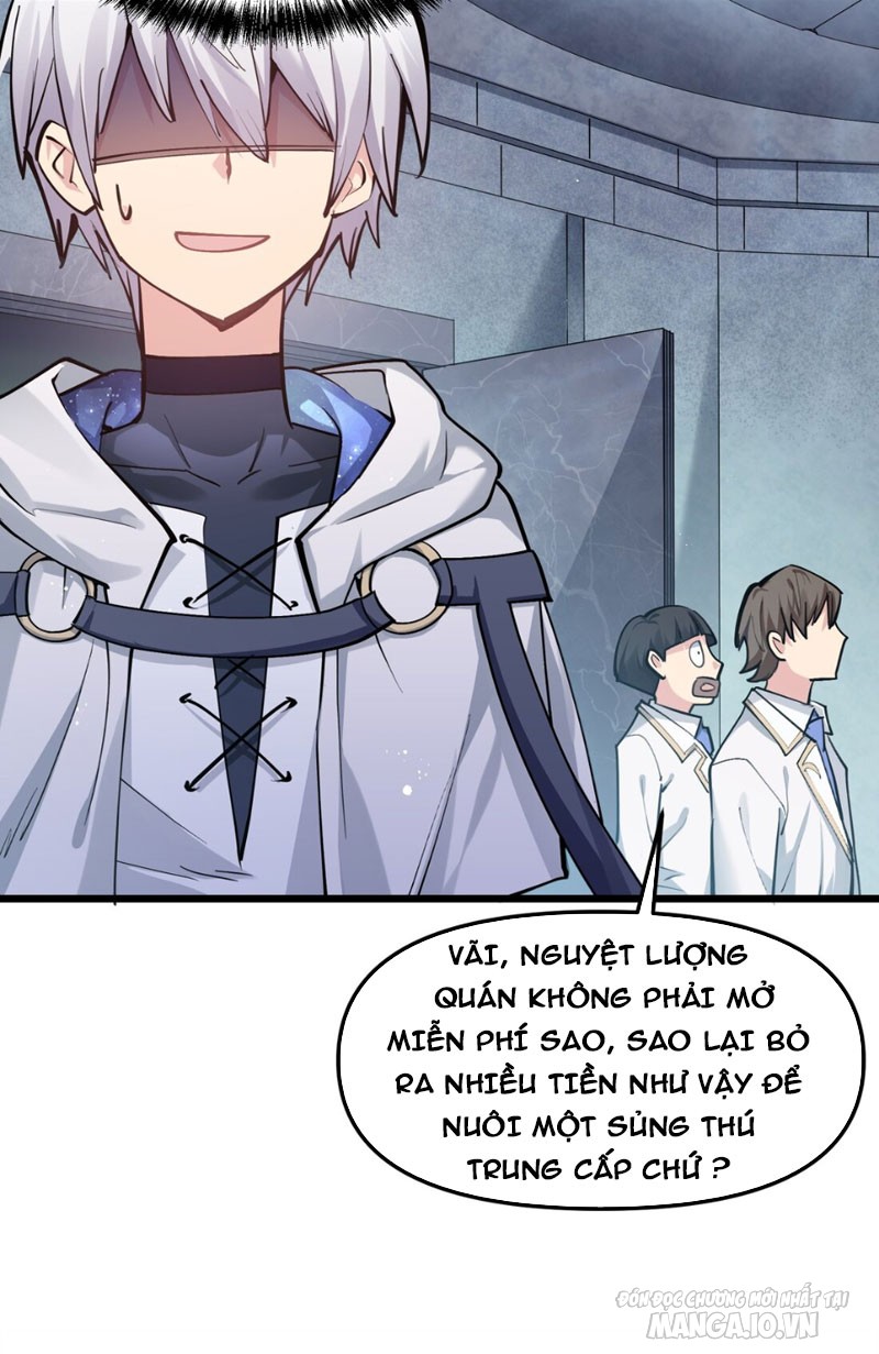 Nhìn Như Boss Nhưng Lại Đáng Tin Cậy Chapter 2 - Trang 2