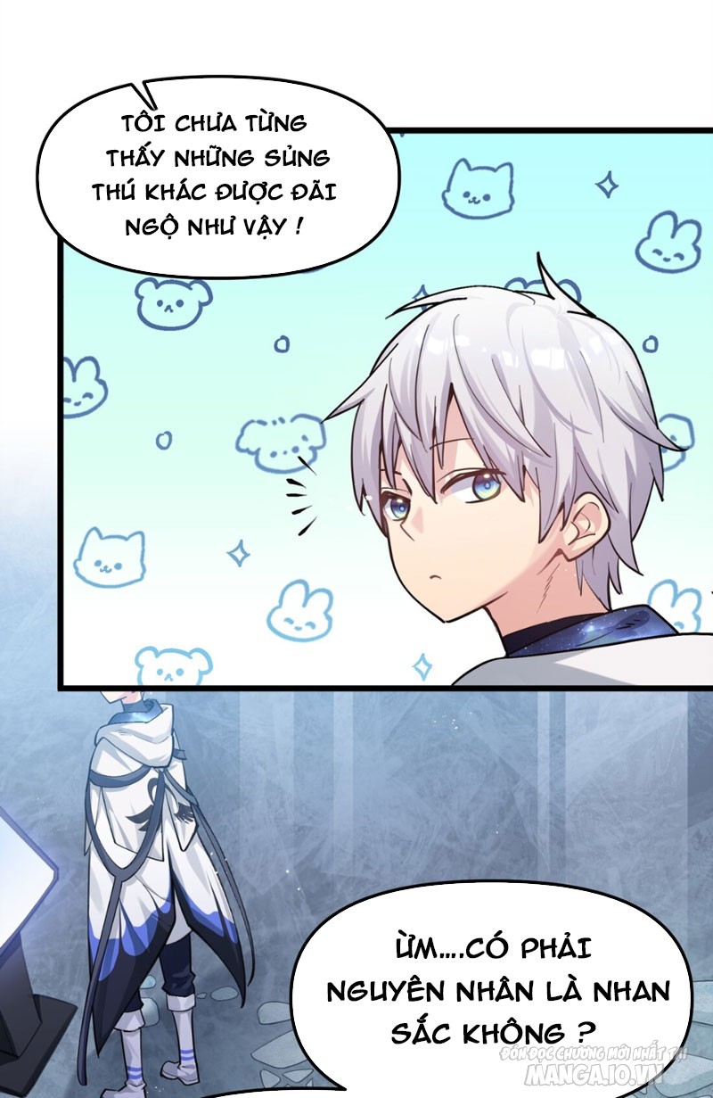 Nhìn Như Boss Nhưng Lại Đáng Tin Cậy Chapter 2 - Trang 2