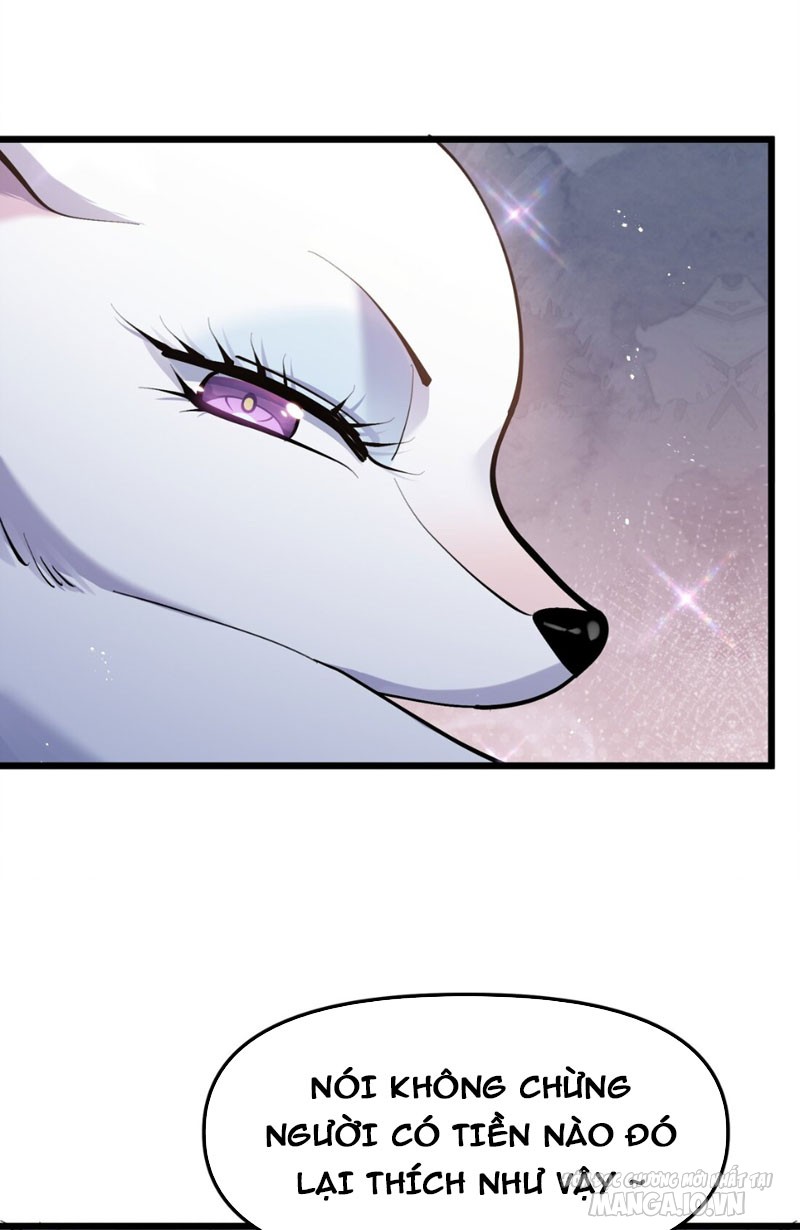 Nhìn Như Boss Nhưng Lại Đáng Tin Cậy Chapter 2 - Trang 2