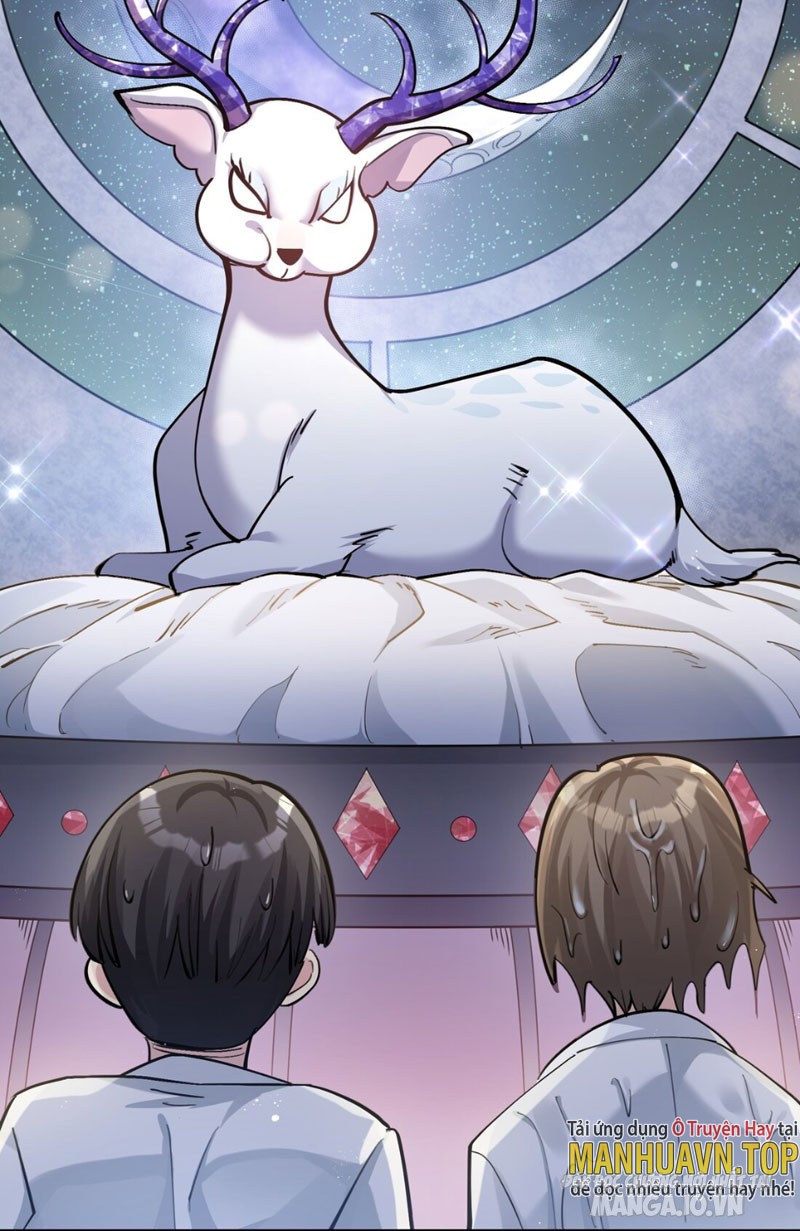 Nhìn Như Boss Nhưng Lại Đáng Tin Cậy Chapter 2 - Trang 2