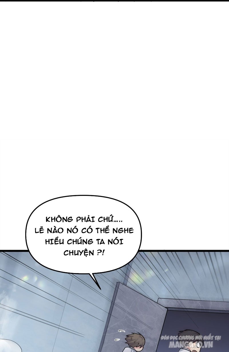 Nhìn Như Boss Nhưng Lại Đáng Tin Cậy Chapter 2 - Trang 2