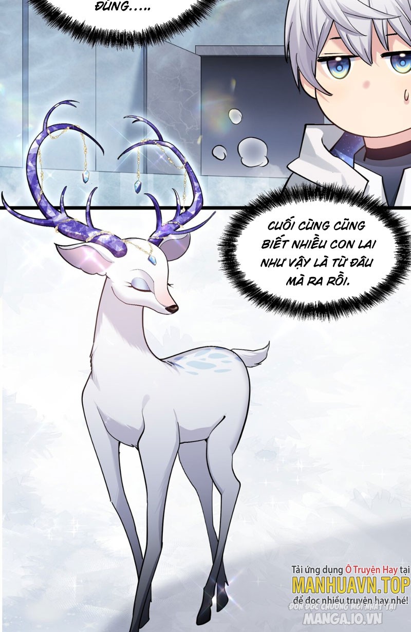 Nhìn Như Boss Nhưng Lại Đáng Tin Cậy Chapter 2 - Trang 2