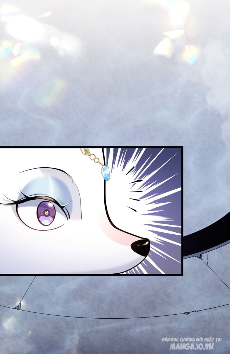 Nhìn Như Boss Nhưng Lại Đáng Tin Cậy Chapter 2 - Trang 2