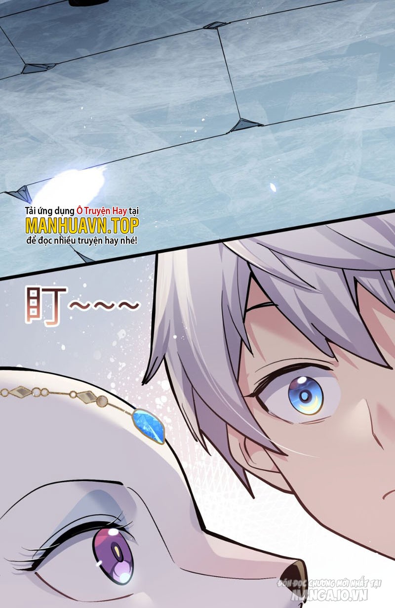 Nhìn Như Boss Nhưng Lại Đáng Tin Cậy Chapter 2 - Trang 2