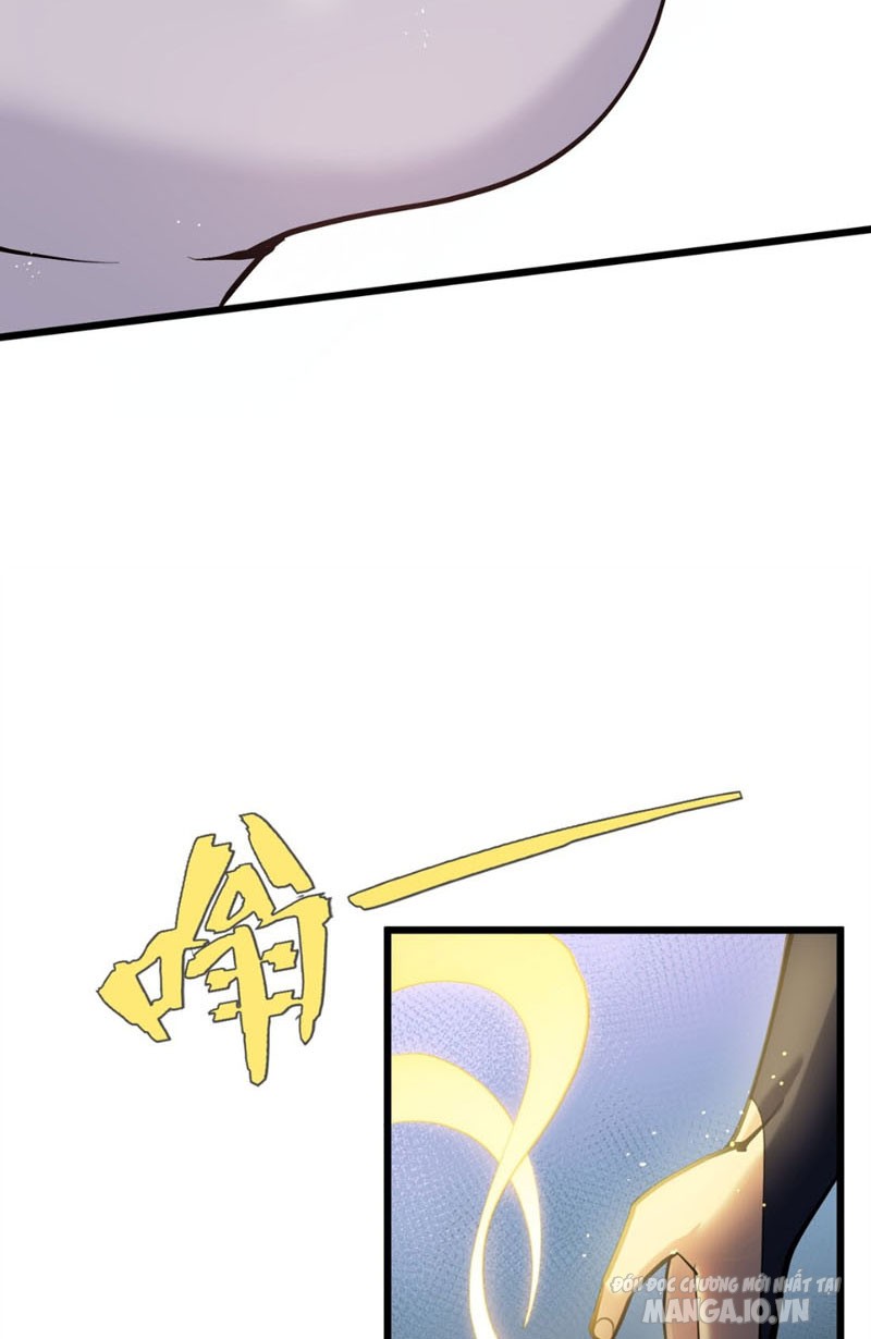 Nhìn Như Boss Nhưng Lại Đáng Tin Cậy Chapter 2 - Trang 2