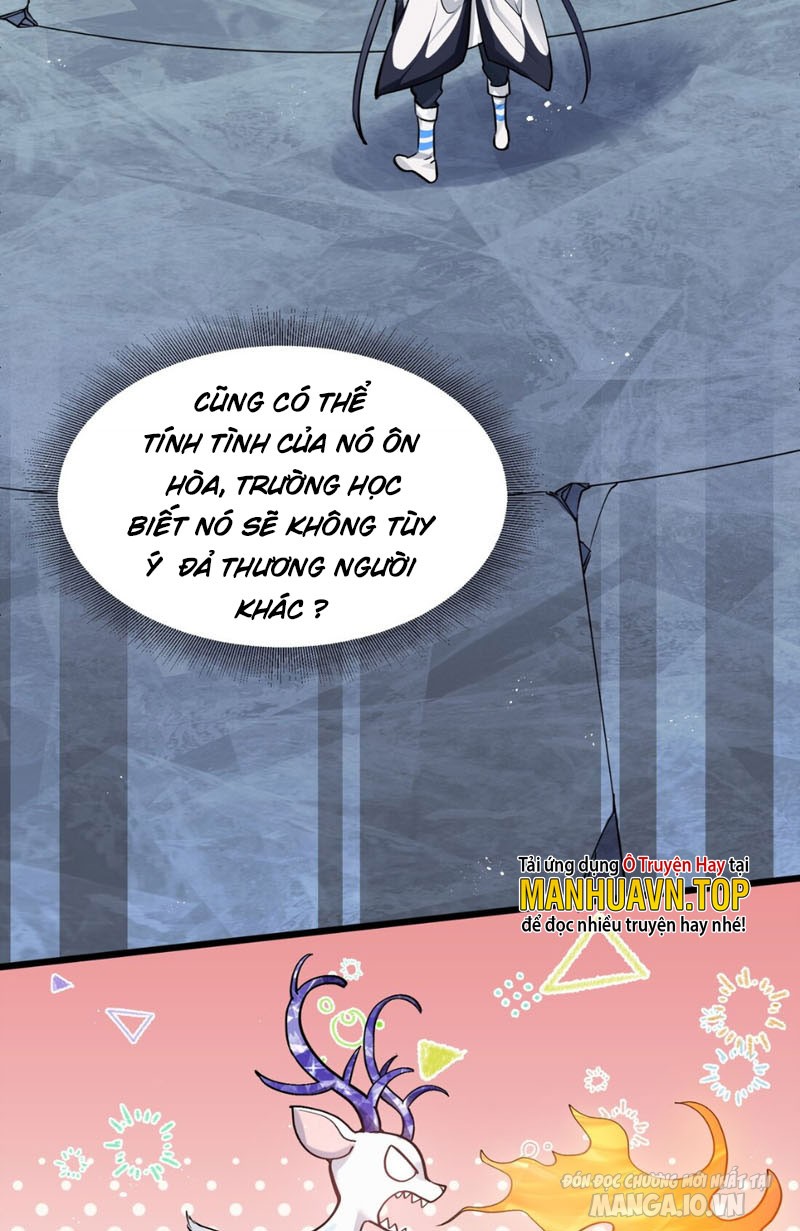 Nhìn Như Boss Nhưng Lại Đáng Tin Cậy Chapter 2 - Trang 2