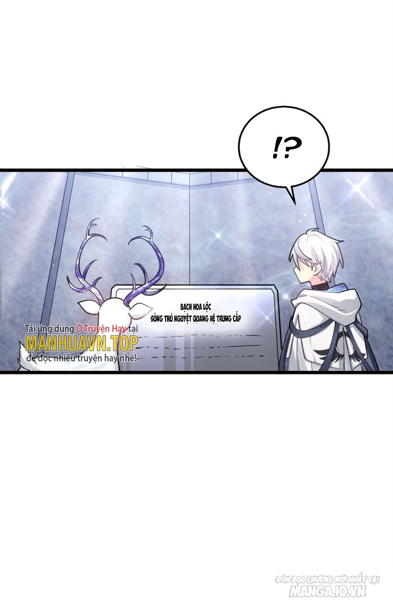 Nhìn Như Boss Nhưng Lại Đáng Tin Cậy Chapter 2 - Trang 2