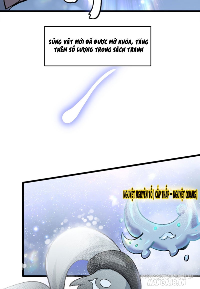 Nhìn Như Boss Nhưng Lại Đáng Tin Cậy Chapter 2 - Trang 2