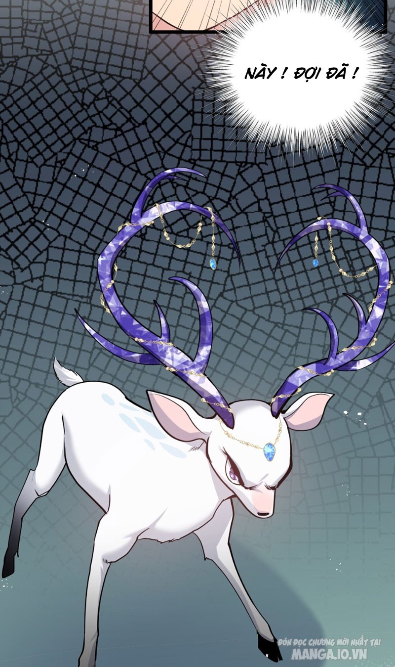 Nhìn Như Boss Nhưng Lại Đáng Tin Cậy Chapter 2 - Trang 2