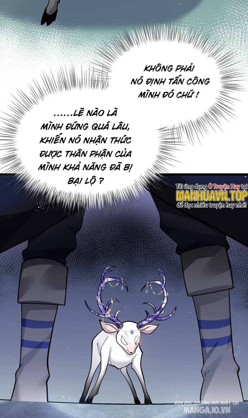 Nhìn Như Boss Nhưng Lại Đáng Tin Cậy Chapter 2 - Trang 2